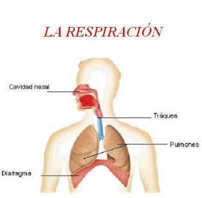 respiracin